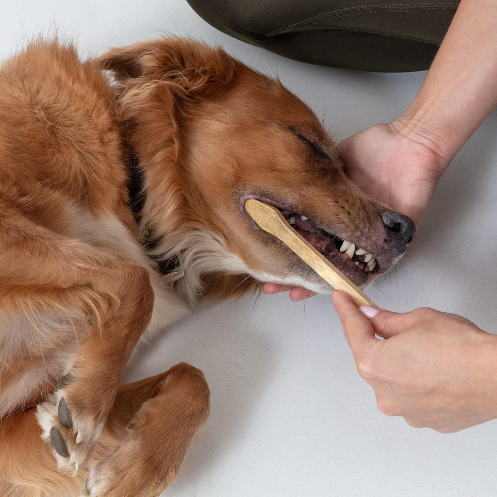 Eco-friendly bamboo pet toothbrush set