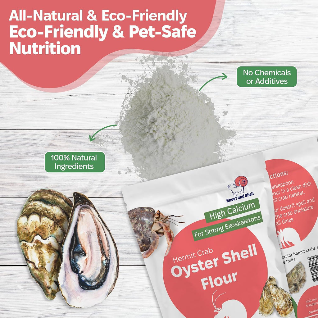 Hermit crab interacting with natural calcium supplement
