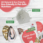 Hermit crab interacting with natural calcium supplement