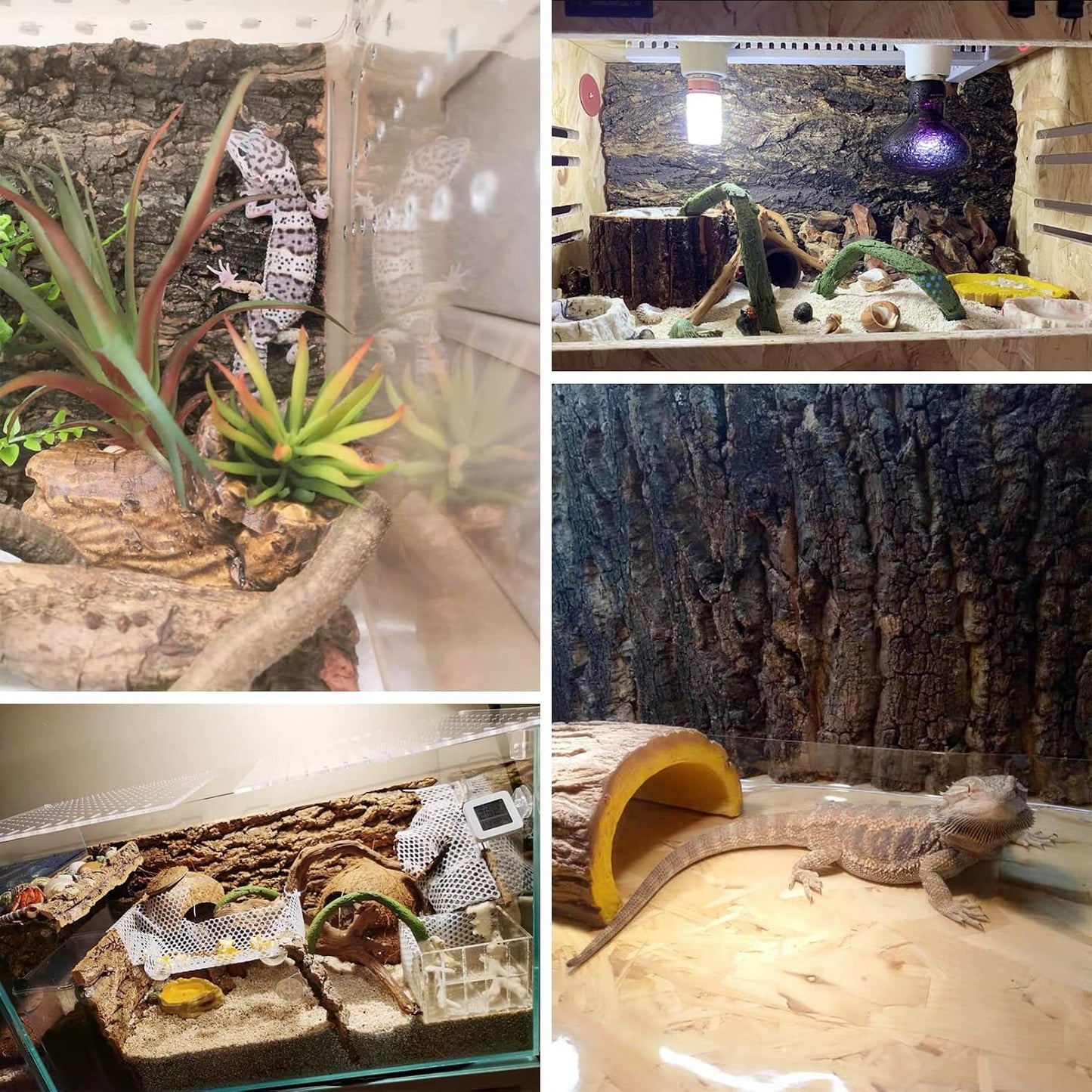 Natural cork bark texture close up for reptile climbing wall