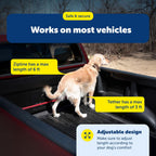 Instructions diagram for PetSafe dog car travel restraint
