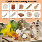 ZooVibe parrot foraging box hanging setup