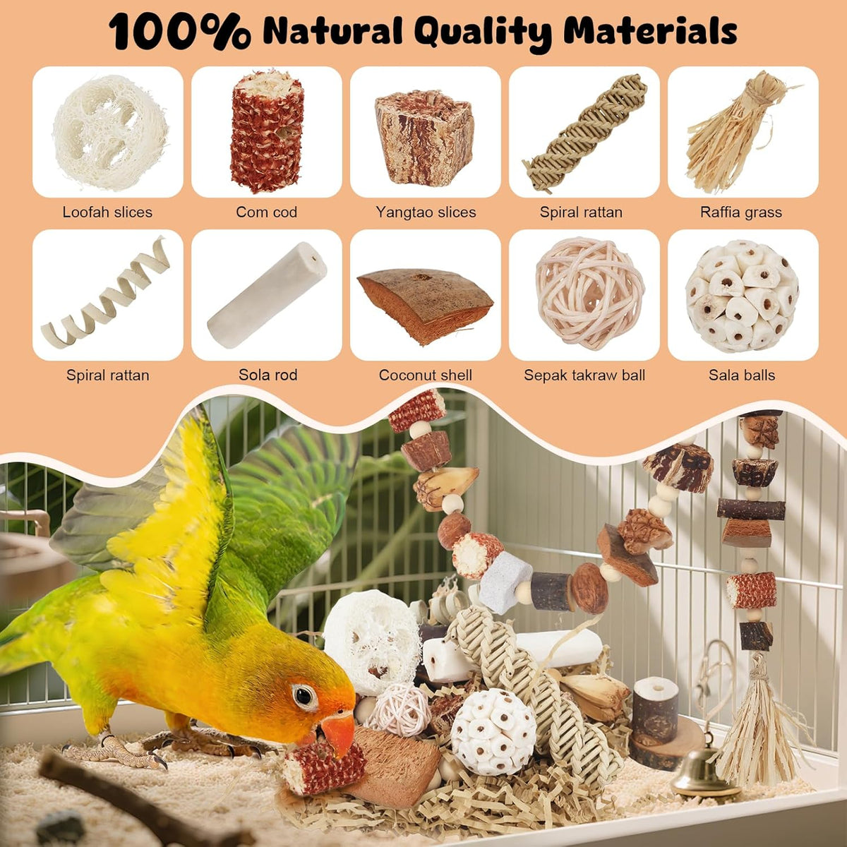 ZooVibe parrot foraging box hanging setup