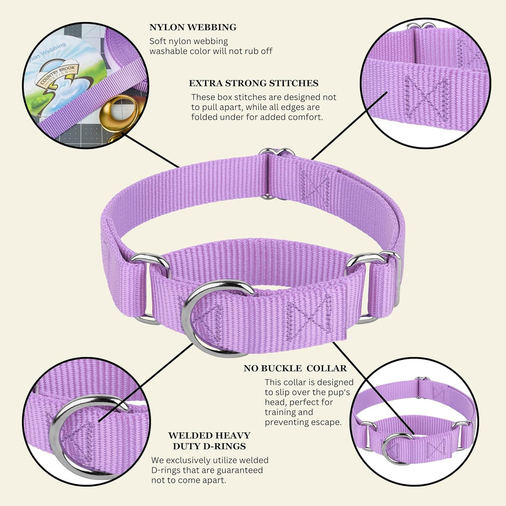 Country Brook Design medium size pet collar for training and daily walks