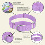 Country Brook Design medium size pet collar for training and daily walks