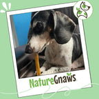 Healthy rawhide alternative dog chews containing tripe twists and gullet.