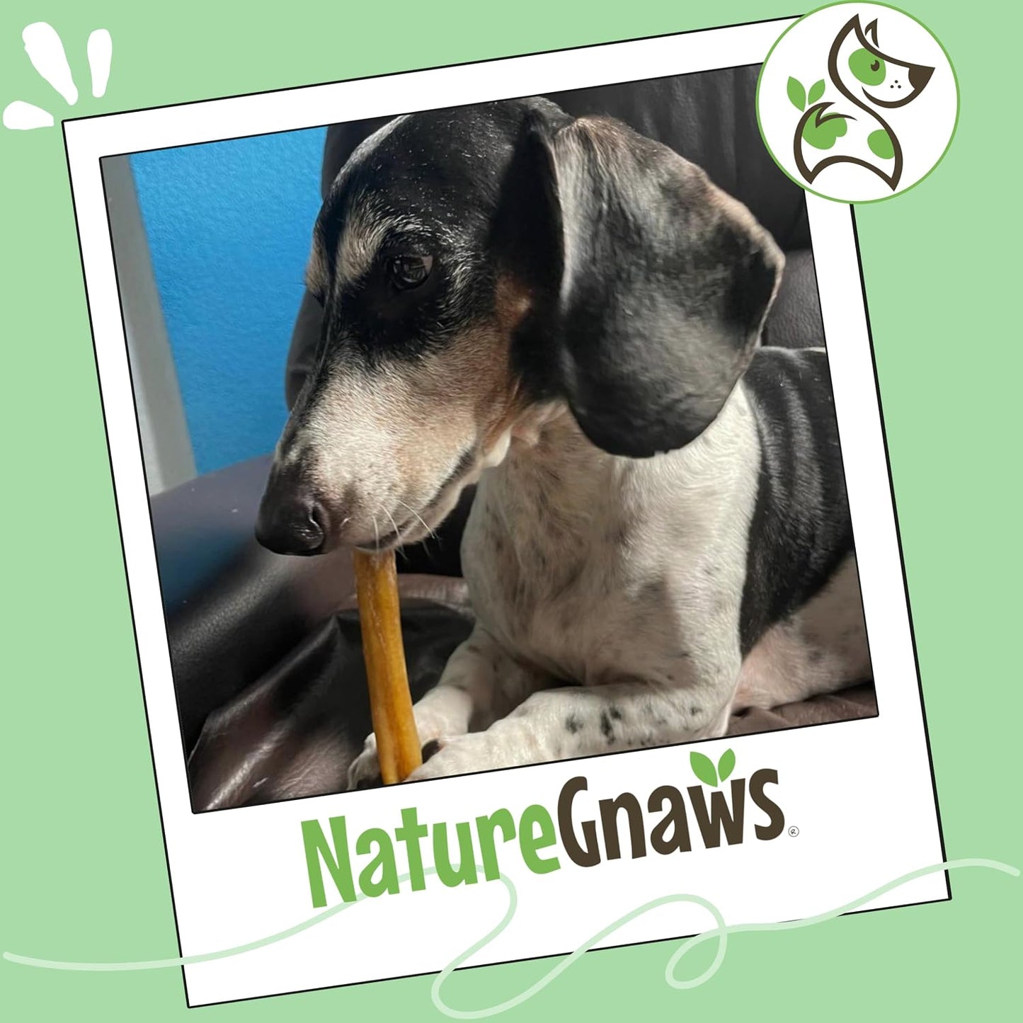 Healthy rawhide alternative dog chews containing tripe twists and gullet.
