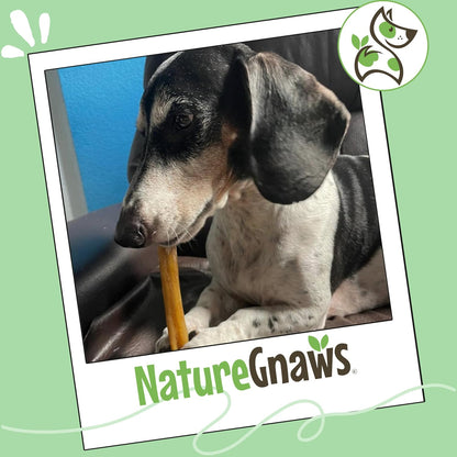 Healthy rawhide alternative dog chews containing tripe twists and gullet.