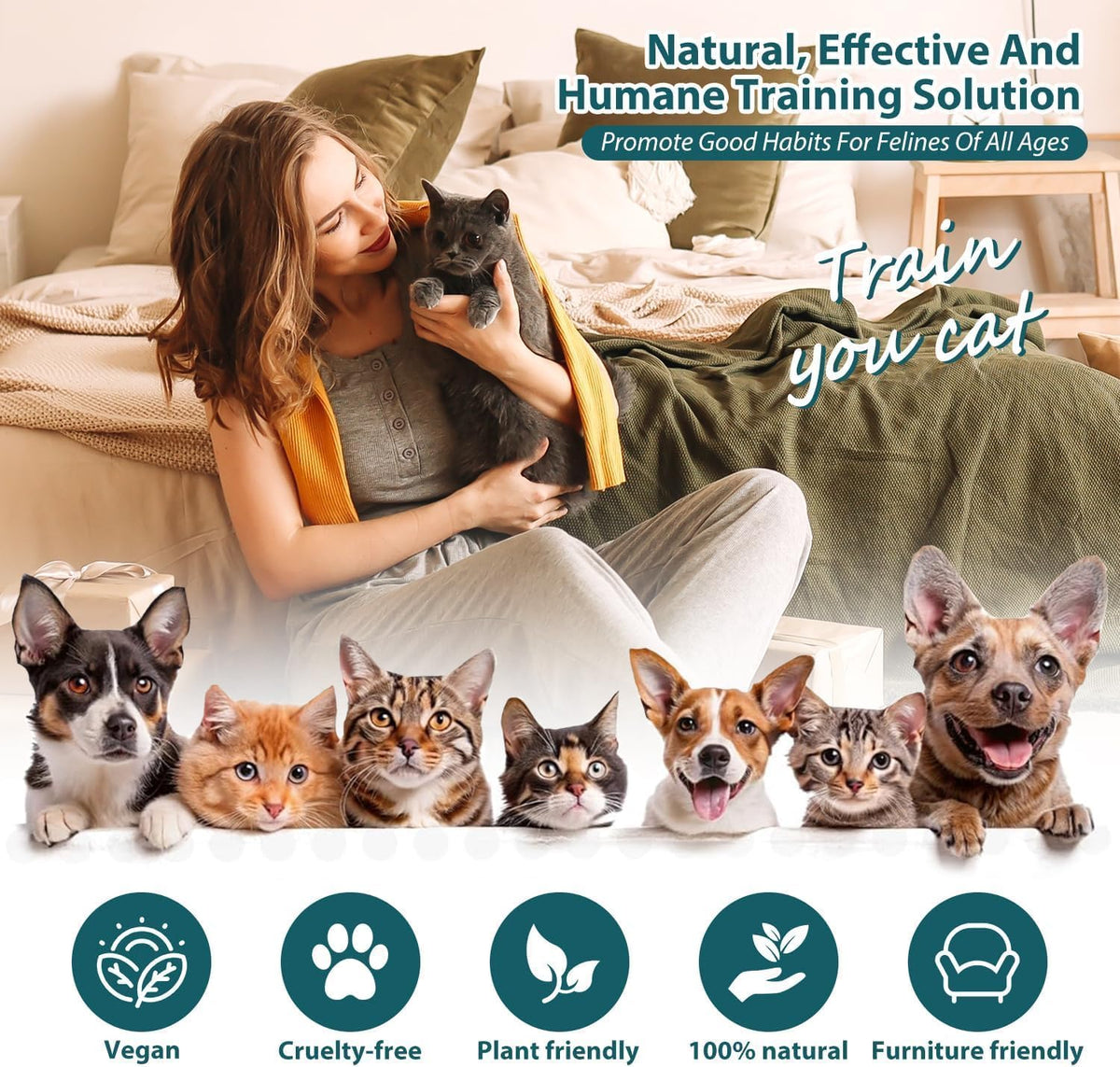 Demonstration of cat deterrent spray applied to fabric sofa.