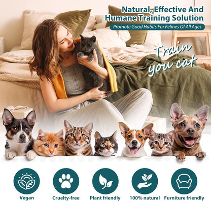 Demonstration of cat deterrent spray applied to fabric sofa.