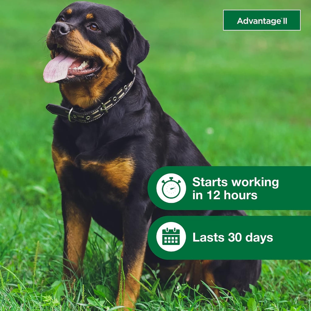 Waterproof flea treatment for extra large dogs showing ingredients and application spots.