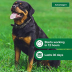 Waterproof flea treatment for extra large dogs showing ingredients and application spots.