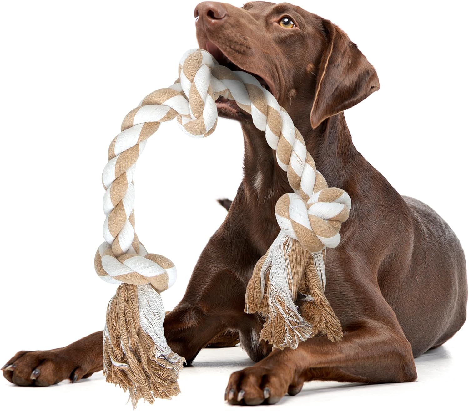Packaging view of the authentic USA imported Fida tough cotton dog rope.
