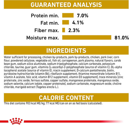 Royal Canin Chihuahua adult wet food showing the three ounce individual can design