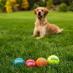 Outward Hound SqueakerBallz pet safe interactive fetch toys for medium breed dogs