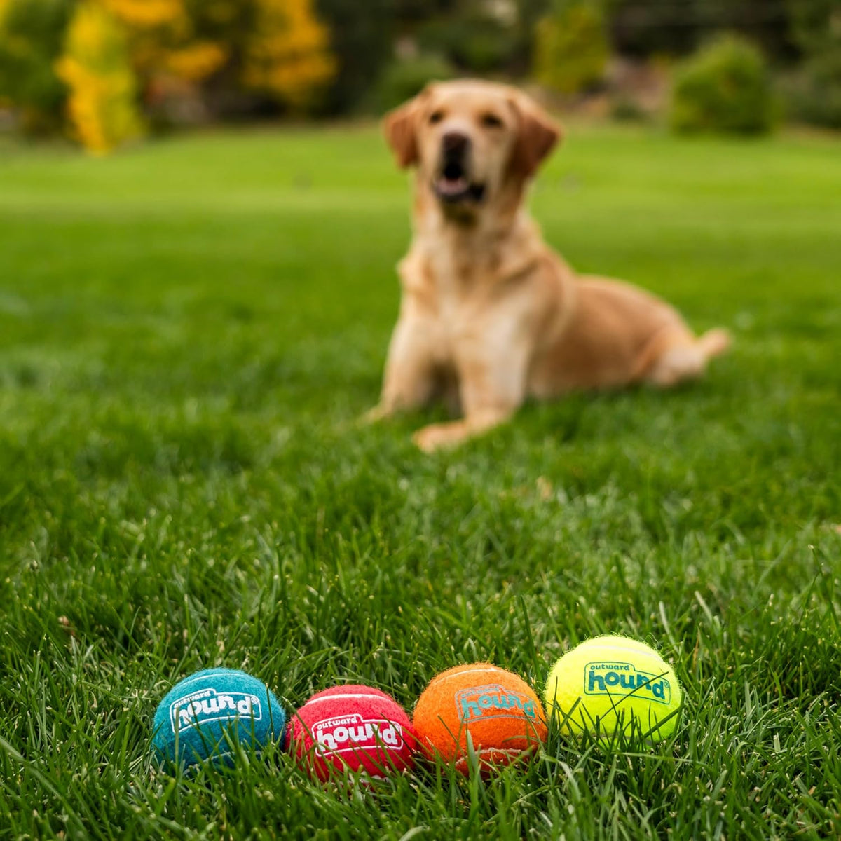 Outward Hound SqueakerBallz pet safe interactive fetch toys for medium breed dogs