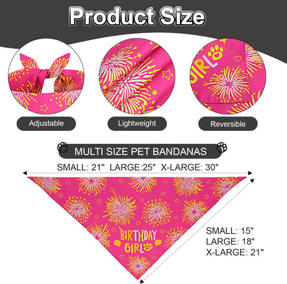 Agroon dog birthday set with interchangeable age numbers