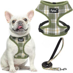 PUPTECK Soft Mesh Dog Harness Small Sized and Leash Set Pet Puppy Cat Comfort Padded Vest No Pull Harnesses, Beige, S - Image 12