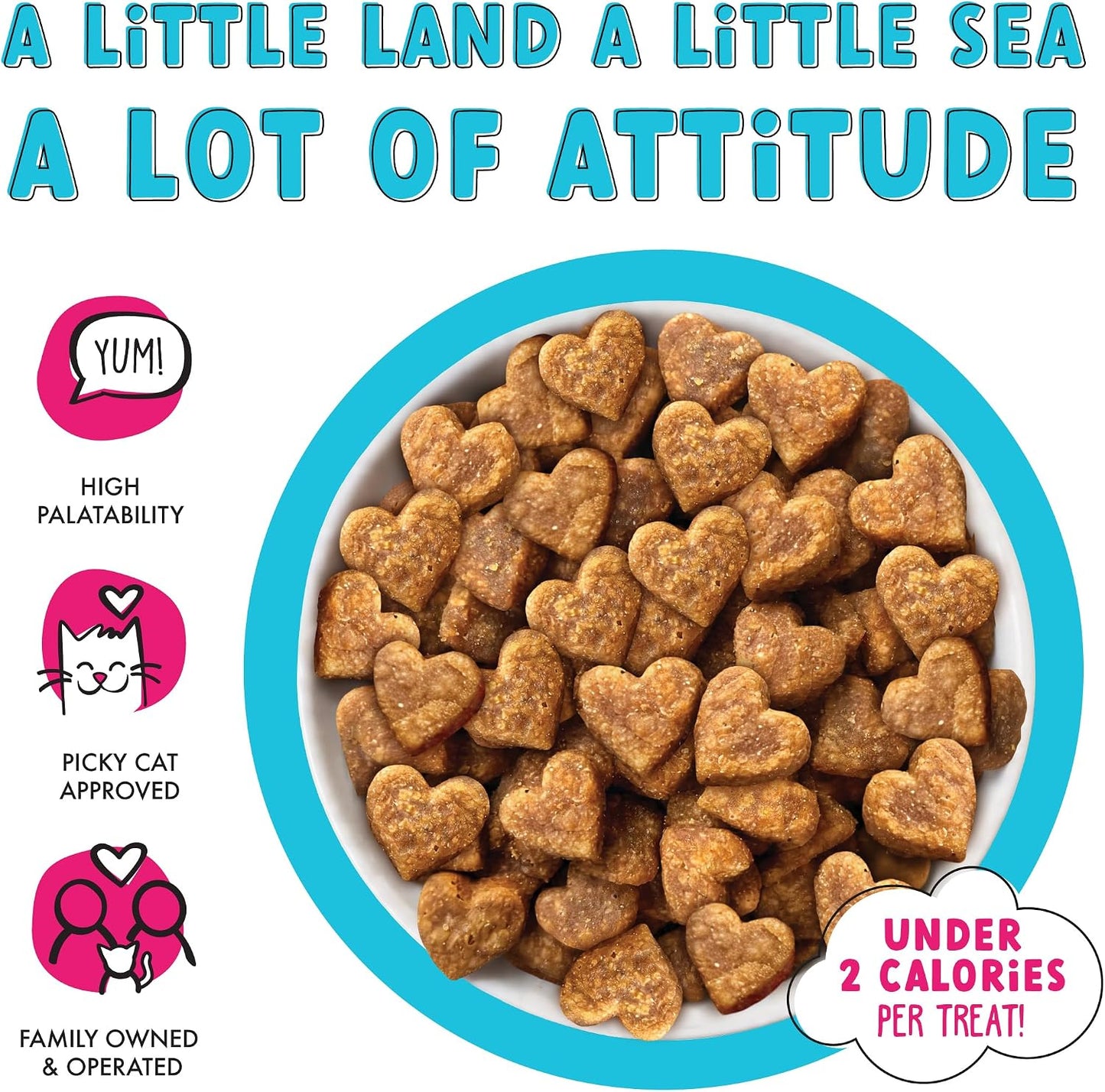 Close up view of individual crunchy chicken and salmon flavor cat treats