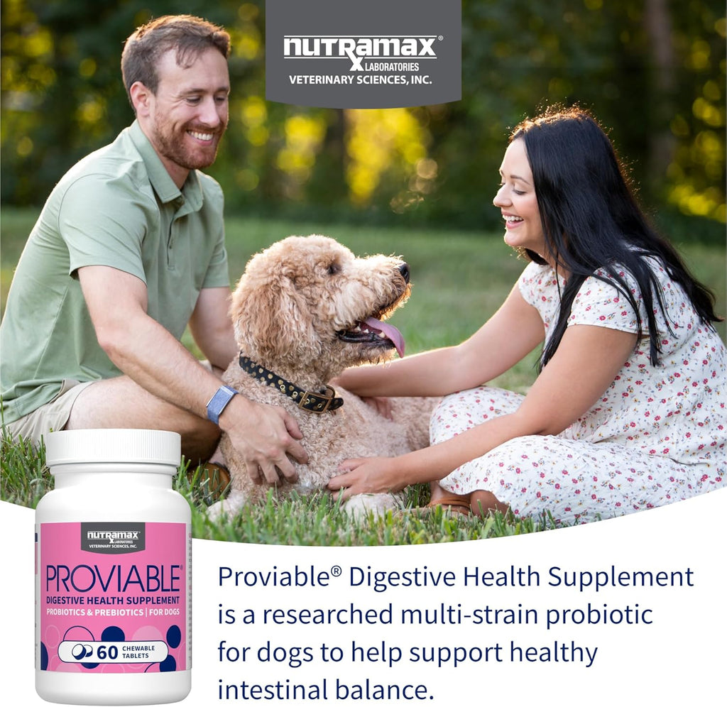 Pet digestive care probiotics with multiple strains of beneficial bacteria.