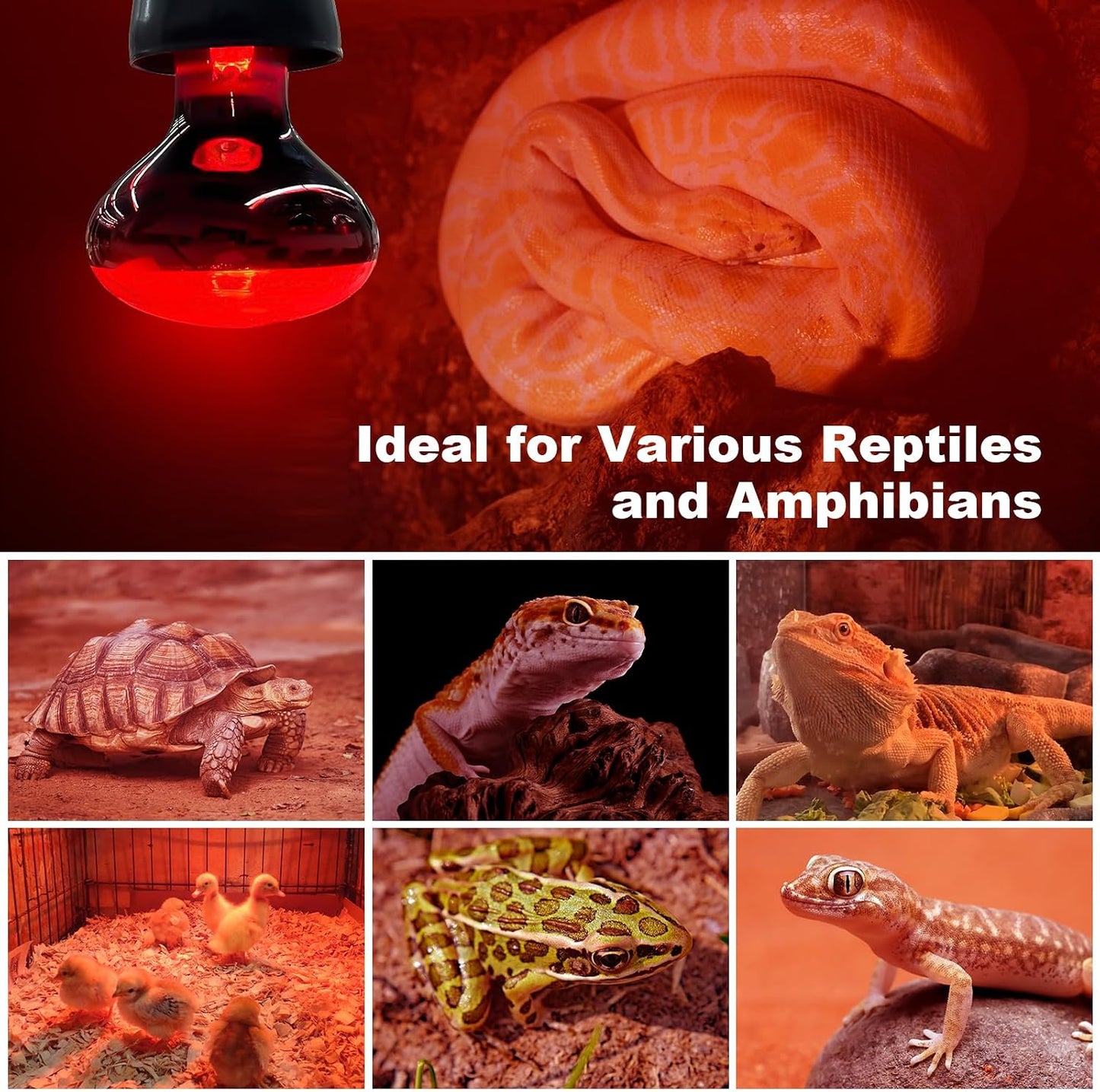 Wacool Terra durable filament structure within the reptile heat bulb