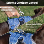 Huntboo escape proof dog harness reflective night walk safety view