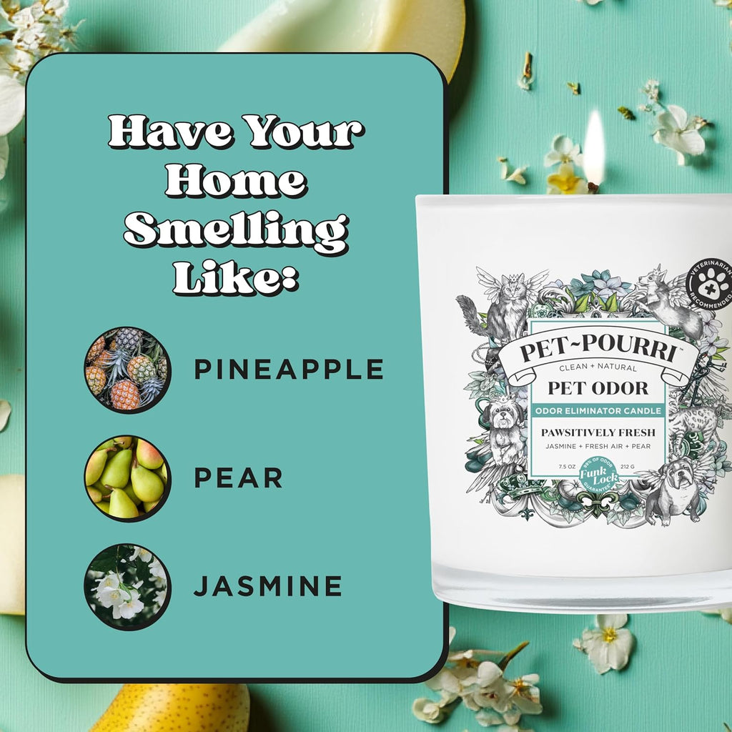 Pet-Pourri Pawsitively Fresh Pet Odor Deodorizer Candle, Burns Up to 45 Hours, Aromatherapy & Air Freshener with Essential Oils, Plant Based Ingredients & Wax, Vet Approved, Jasmine Pear Scent - Image 9
