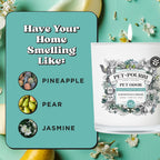 Pet-Pourri Pawsitively Fresh Pet Odor Deodorizer Candle, Burns Up to 45 Hours, Aromatherapy & Air Freshener with Essential Oils, Plant Based Ingredients & Wax, Vet Approved, Jasmine Pear Scent - Image 9