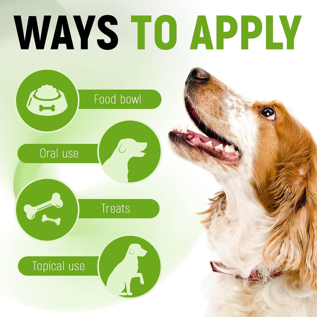 Golden Paw USA imported pet supplement packaging highlighting prebiotic and enzyme formulation.