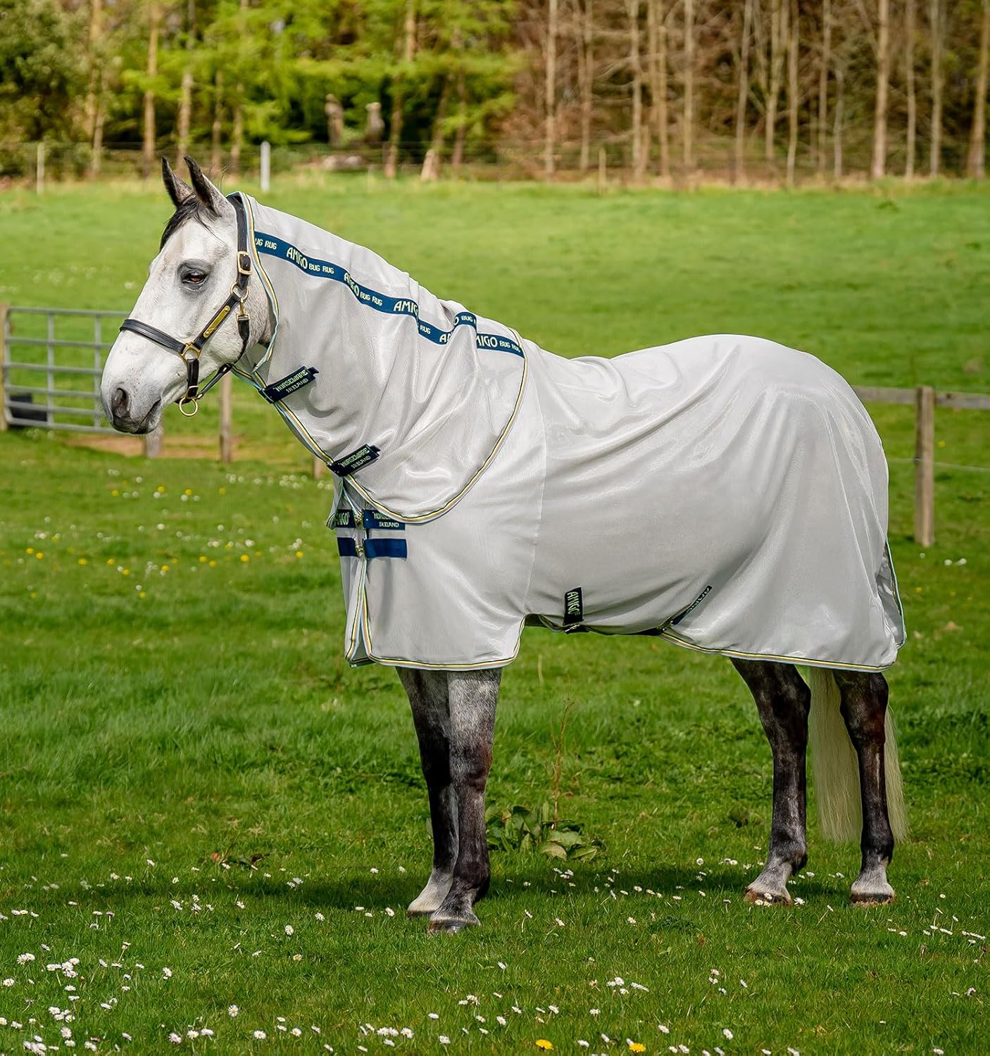 Horseware Amigo Bug Rug Fly Sheet front view on a horse in Lunar Rock color.