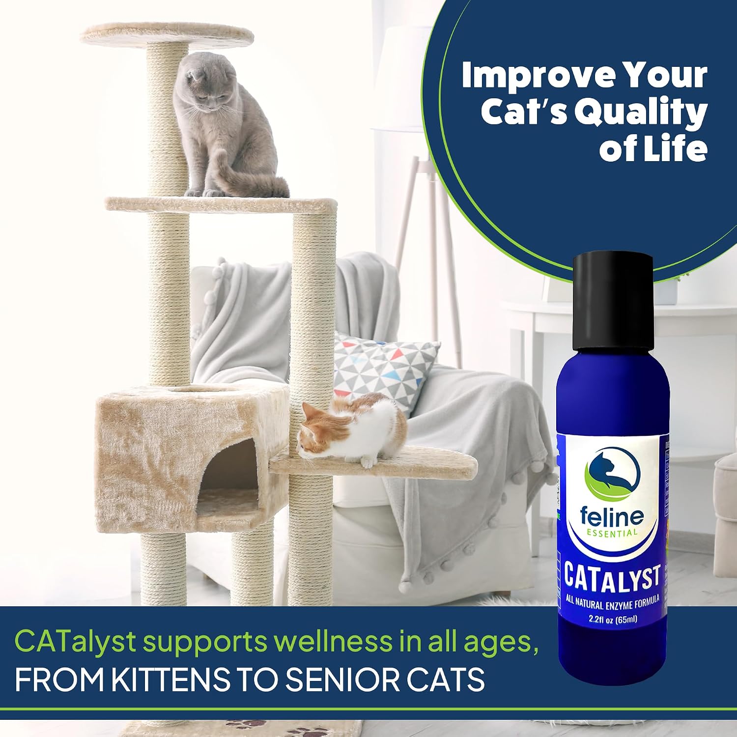 Feline Essential pancreatic enzyme supplement for cats mixed into wet pet food