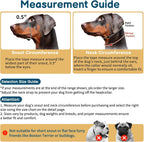 Barkless dog face harness safety link attachment