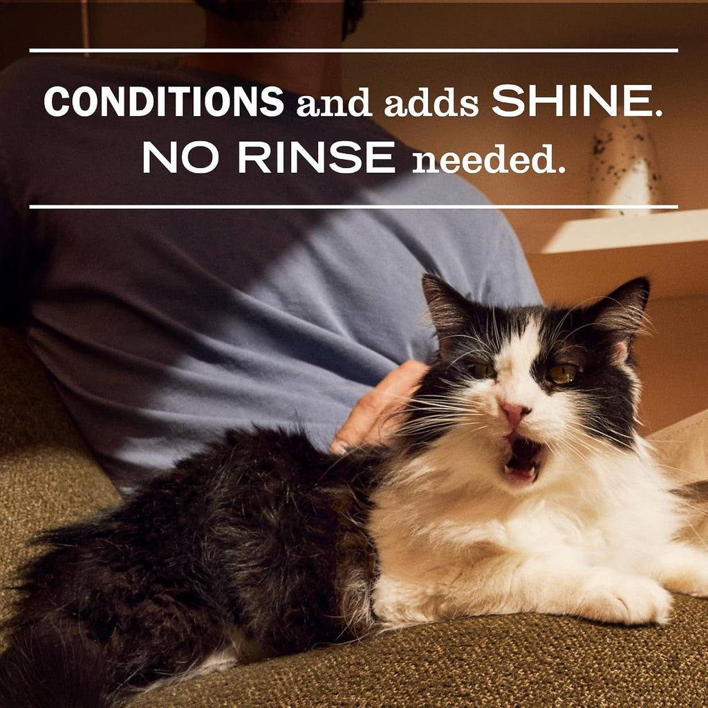 Veterinarian tested Mrs. Meyers cat leave in grooming mist