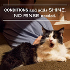 Veterinarian tested Mrs. Meyers cat leave in grooming mist