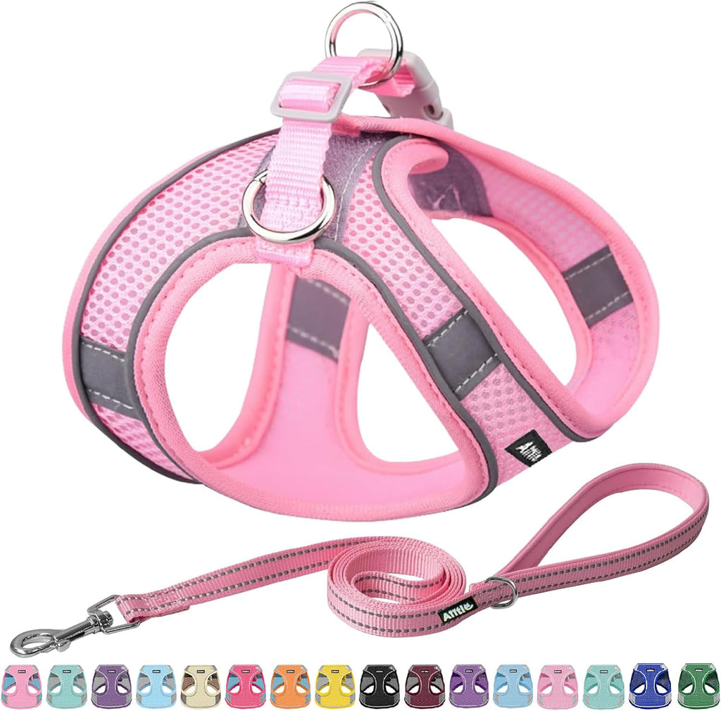 AIITLE No Pull Dog Harness and Leash Set, Step in Adjustable Dog Harness with Padded Vest for All Weather, Dog Leash with Soft Padded Handle, Easy to Put on Small and Medium Dogs Beige S - Image 14