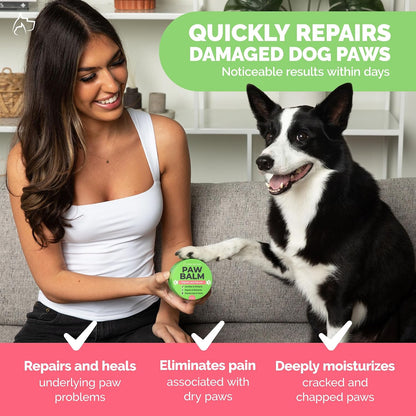 Healthy dog paws after regular use of Paw Nectar paw wax