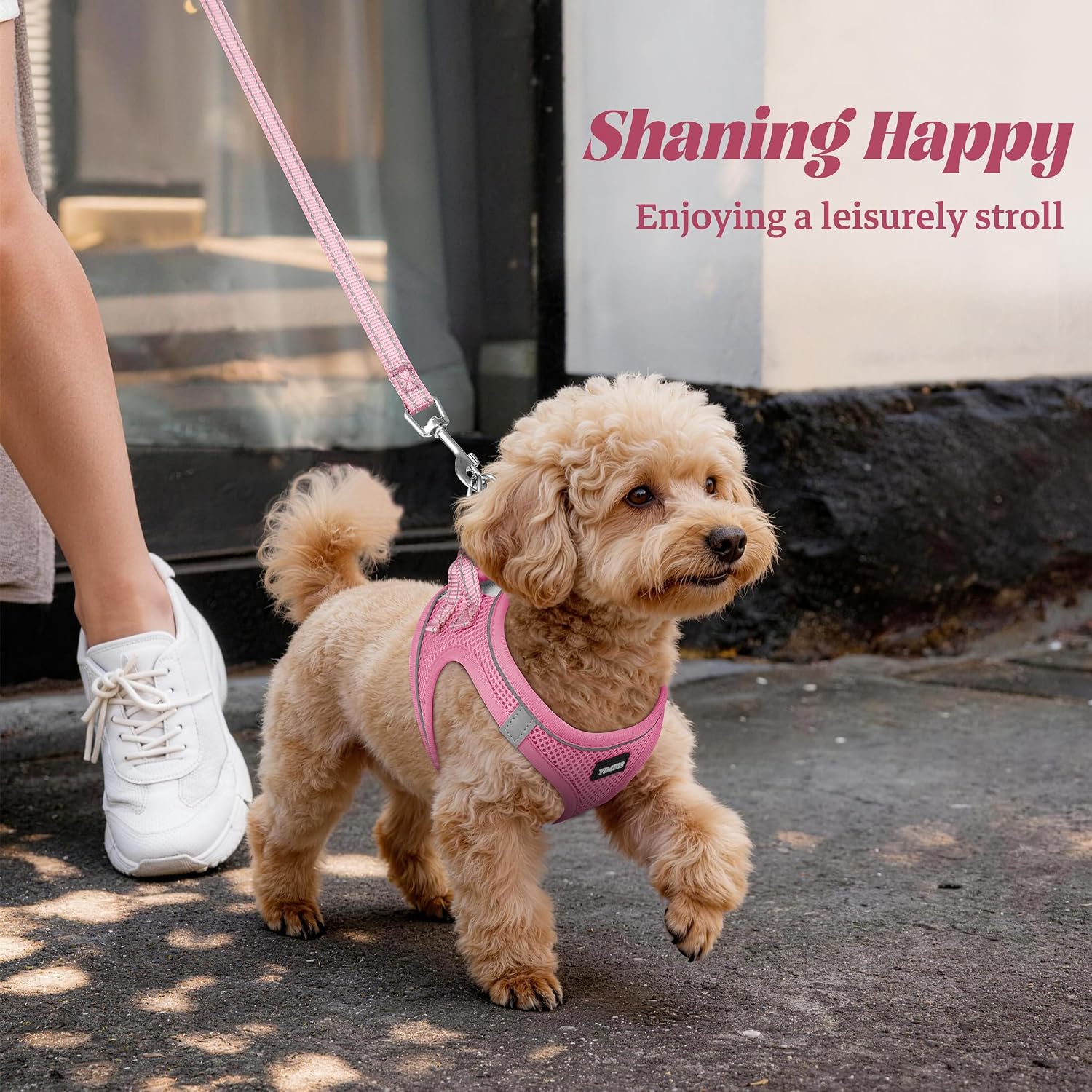 Yimeis step-in harness design for puppies and cats