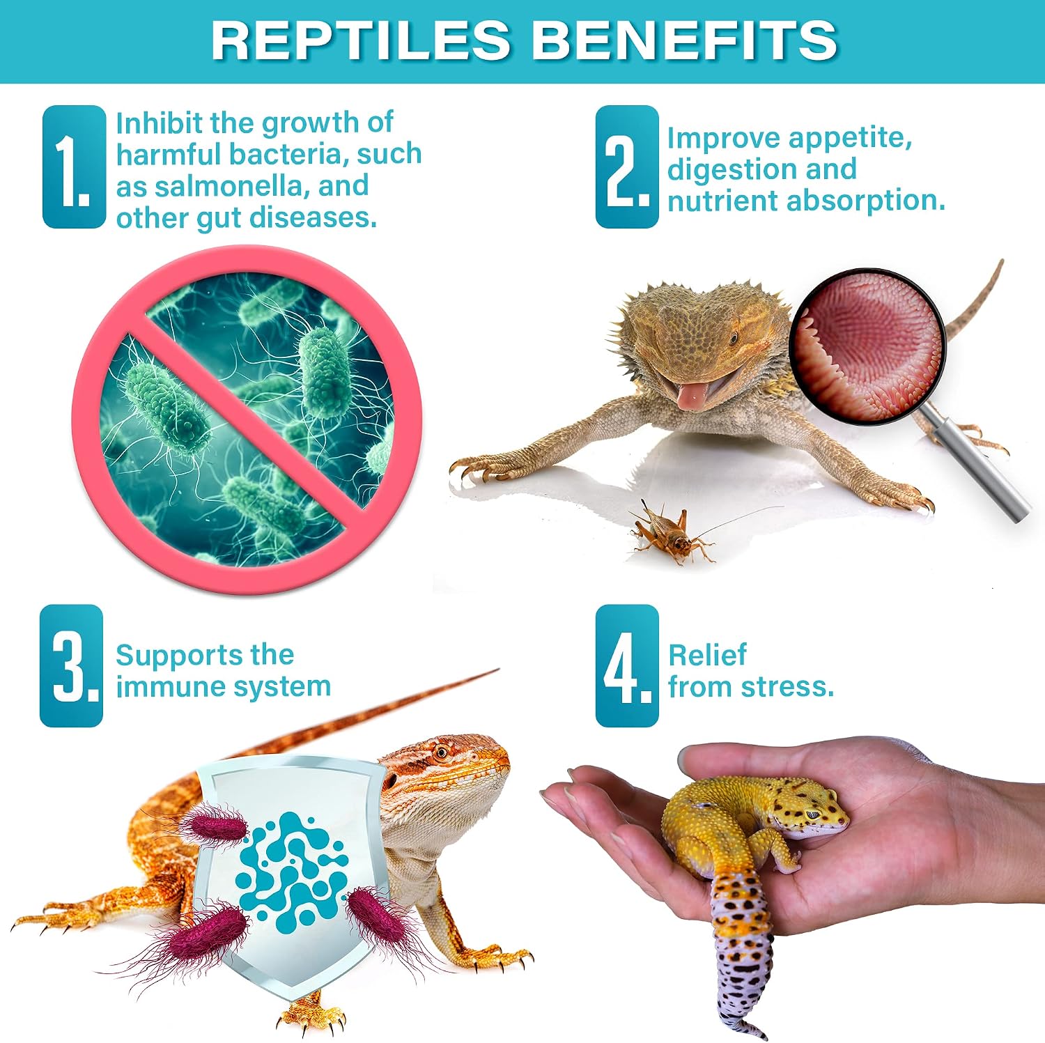 Gargeer reptile digestive health supplement label close up