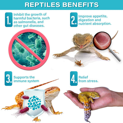 Gargeer reptile digestive health supplement label close up