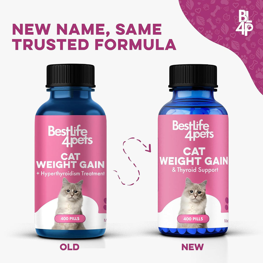 BestLife4Pets natural cat weight gain supplement pills for underweight kittens.
