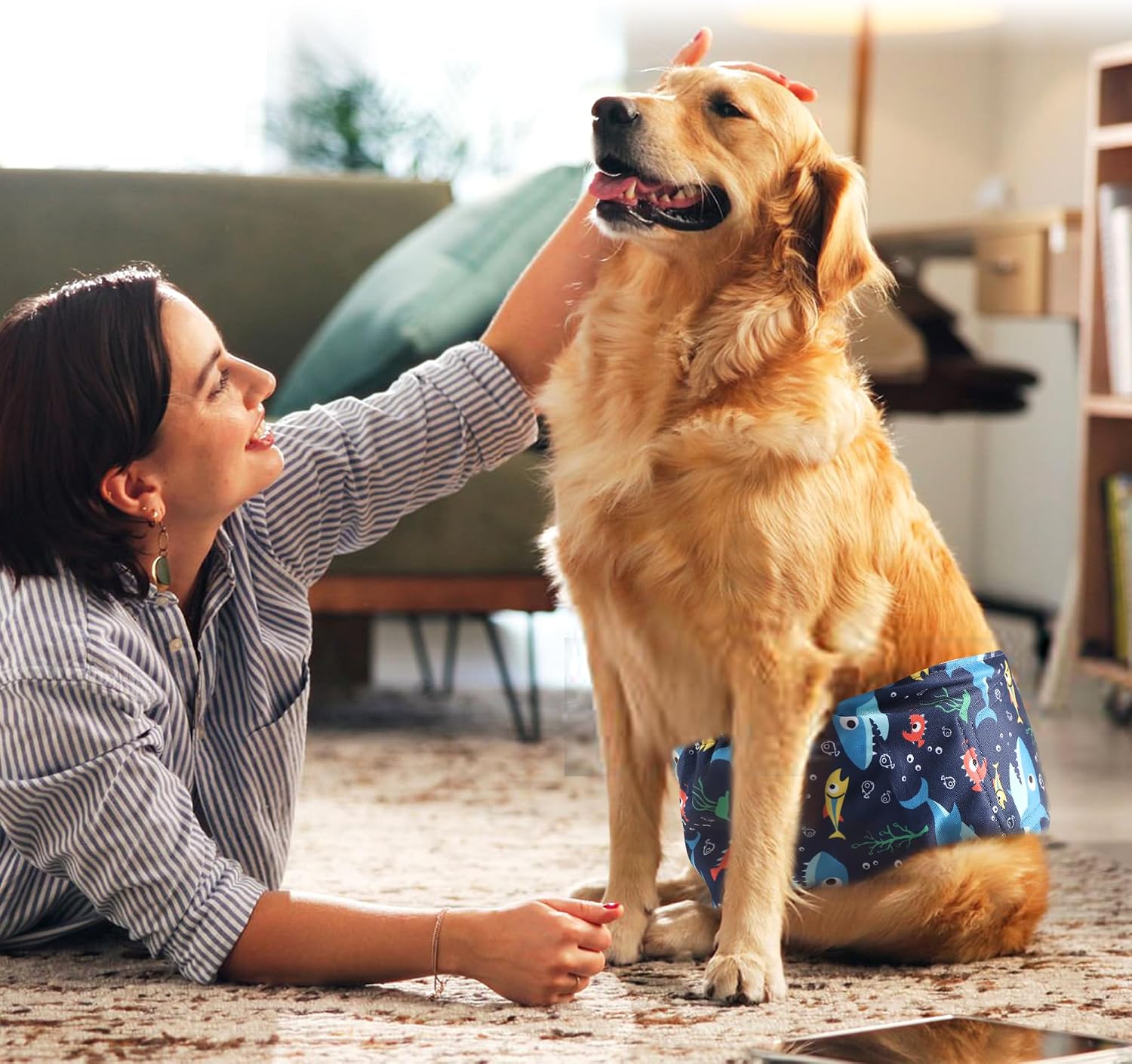 Wegreeco small male dog belly band opened flat to show the sewn in microfiber absorbent pad