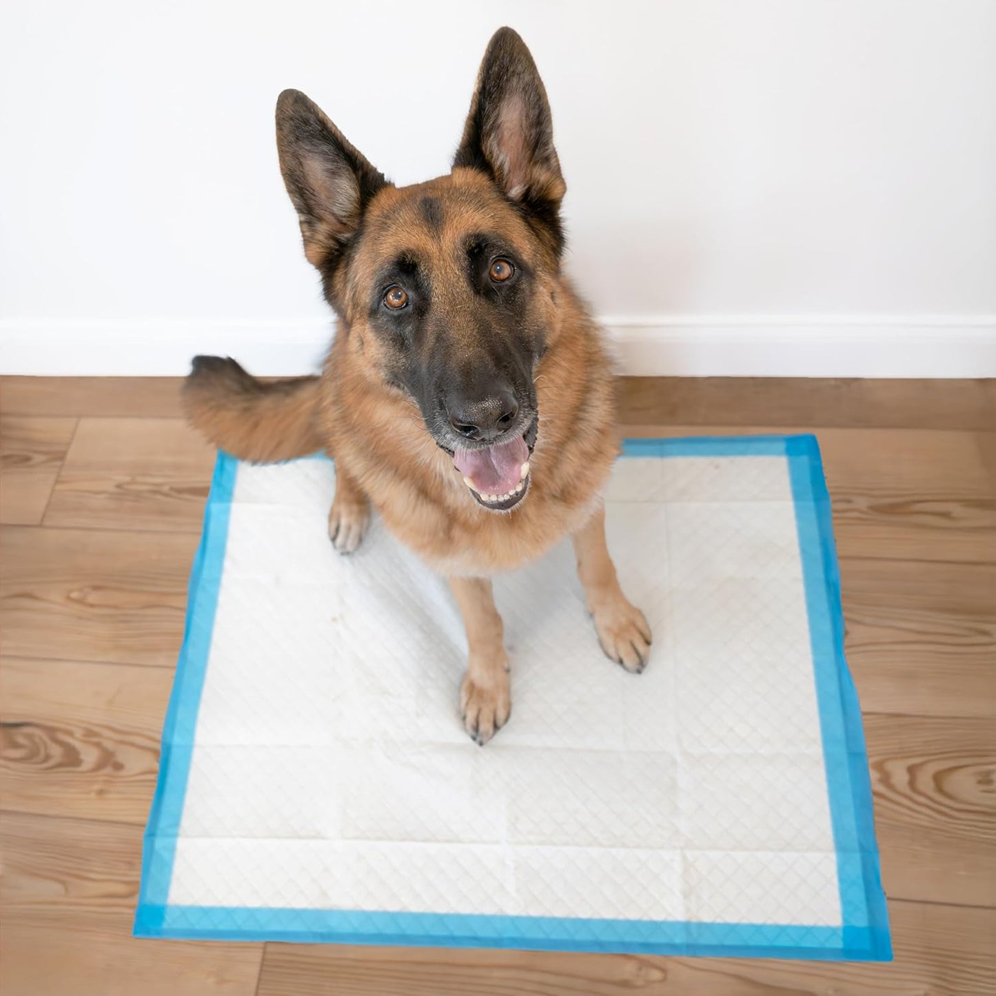 Close-up texture of the tear-resistant quilted surface on authentic imported pet training pads