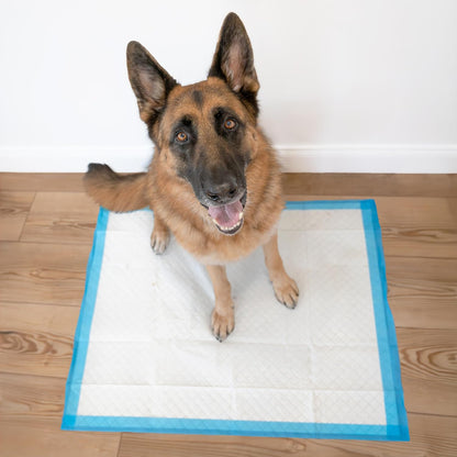 Close-up texture of the tear-resistant quilted surface on authentic imported pet training pads