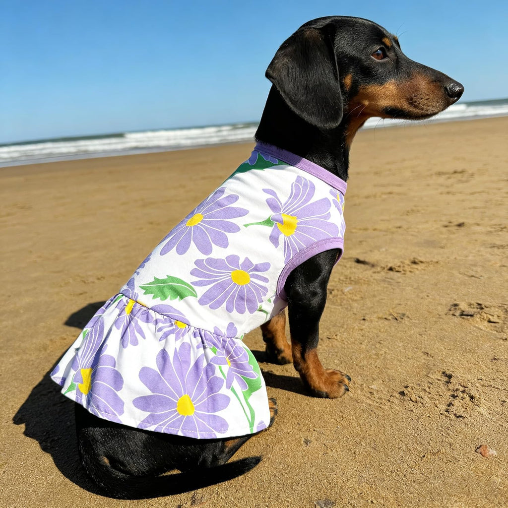 Four pack collection of imported floral pet sundresses for outdoor activities.