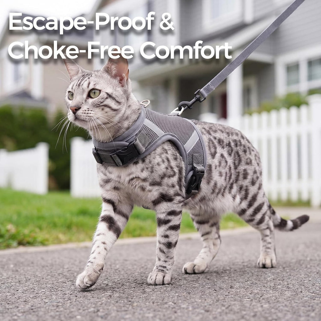 Pangdi adjustable kitten harness showing the soft inner breathable padded lining
