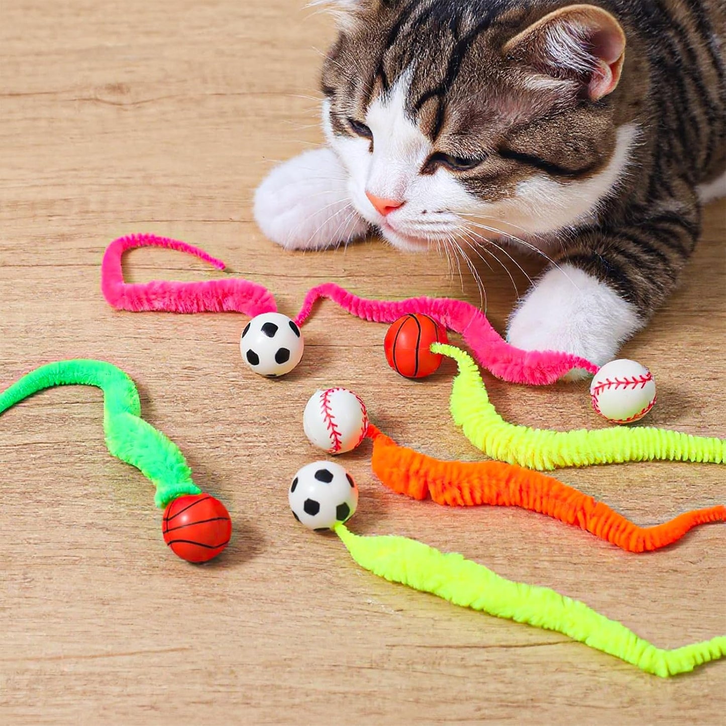 Set of rugby and soccer bouncy balls for cats
