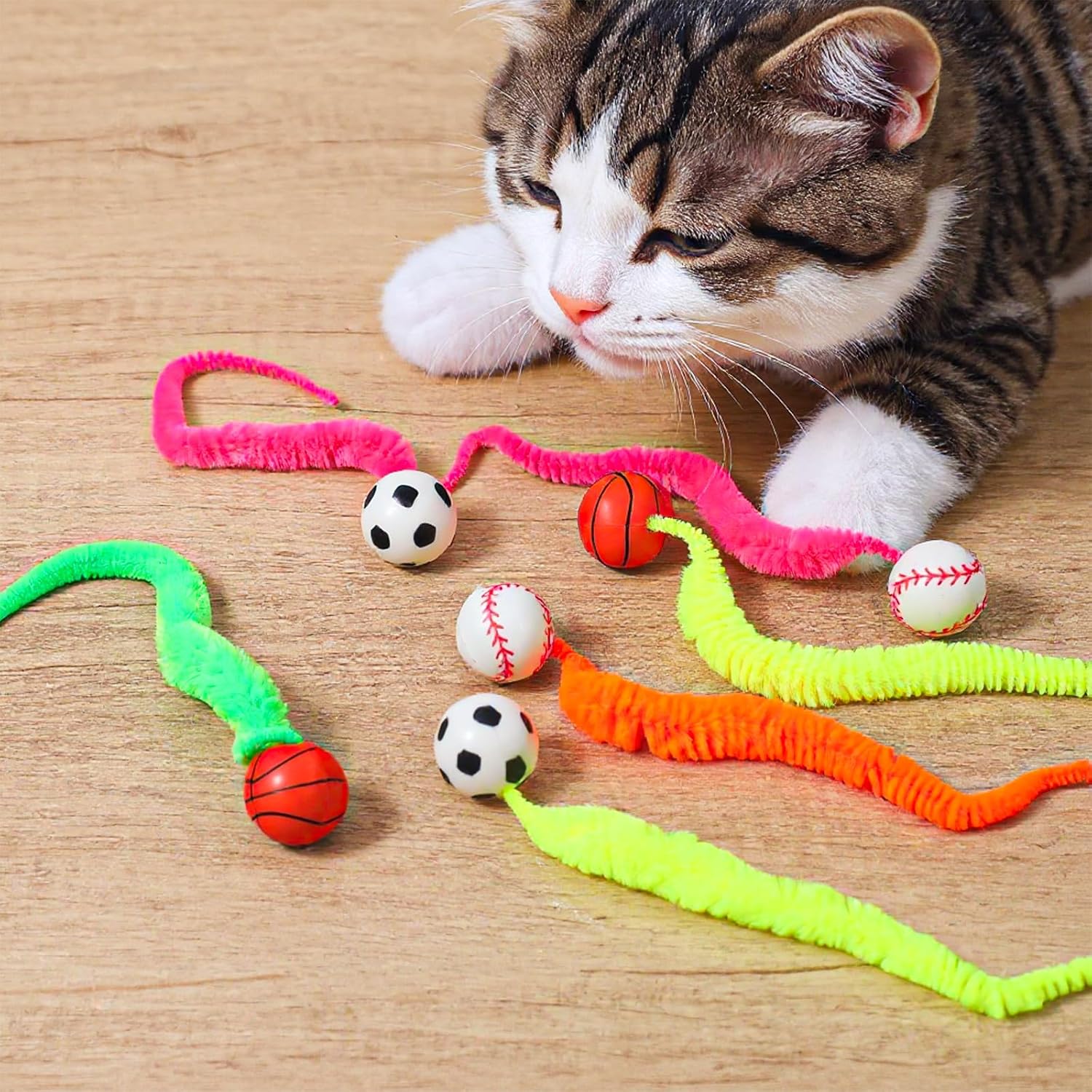 Set of rugby and soccer bouncy balls for cats