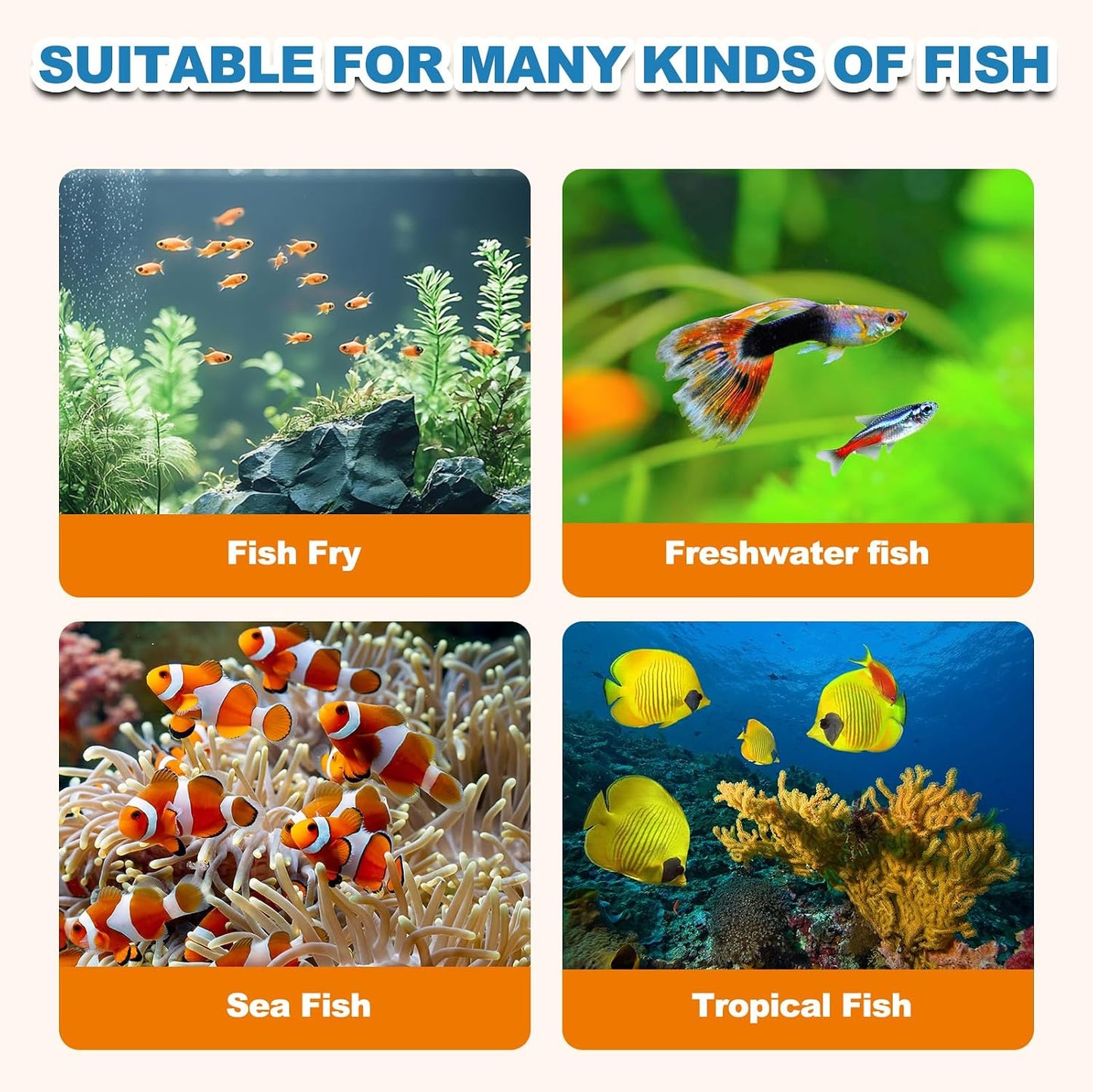 Yizeril high protein freshwater and saltwater fish food container close up