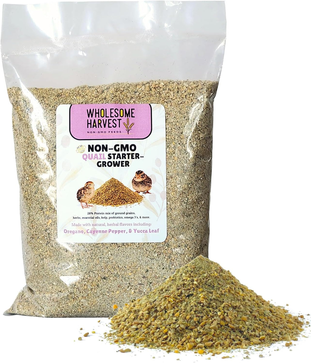 Non-GMO Quail Layer Feed 26% - Premium 10 lb Food for Laying Birds, Button Food - Image 9