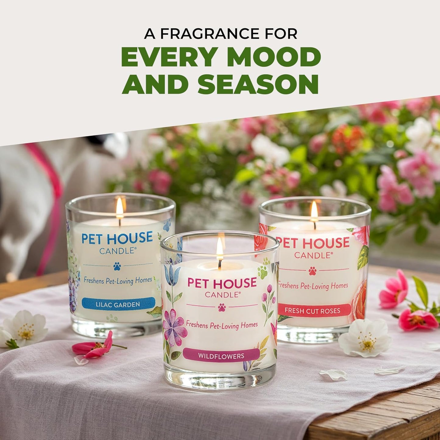 One Fur All authentic USA imported pet house candle packaging presentation.